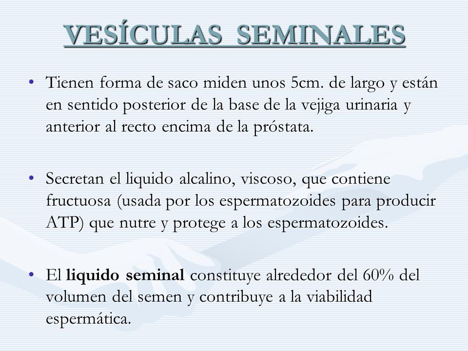 liquido viscoso secretado por la prostata